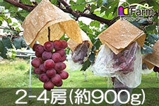 Gkt@[ NC[j[i 2-4[(900g)yz