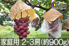 Gkt@[ NC[j[i ƒp 2-4[(900g)