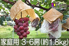 Gkt@[ NC[j[i ƒp 3-6[(1.8kg)