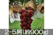 Gkt@[ }Cn[g 2-5[(900g)yz