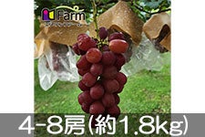 Gkt@[ }Cn[g 4-8[(1.8kg)yz