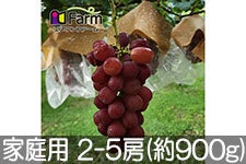 Gkt@[ }Cn[g ƒp 2-5[(900g)