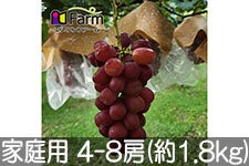 Gkt@[ }Cn[g ƒp 4-8[(1.8kg)