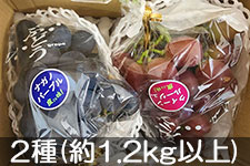 �G�k�����t�@�[�� ����I�X�X���Ԃǂ��l�ߍ��킹 2��(��1kg)
