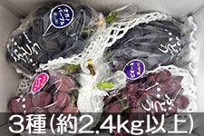 �G�k�����t�@�[�� ����I�X�X���Ԃǂ��l�ߍ��킹 3��ȏ�(��2kg)