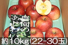 F&F䂴 Ђł̃Tӂ L 10kg(22-28) 1210ȍ~