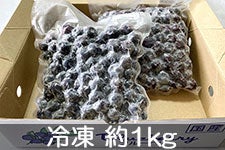 上高地ブルーベリー園 完熟大粒冷凍ブルーベリー 約1kg(約500g×2パック)