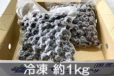 ㍂nu[x[ n嗱Ⓚu[x[ 1kg(500g×2pbN) 710ȍ~