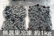 ㍂nu[x[ ȊnIʗⓀu[x[ 1kg(500g×2pbN) 710ȍ~
