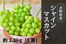 {C_ꂢ VC}XJbg 5[(2.8kg) 910ȍ~