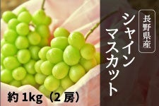 {C_ꂢ VC}XJbg 2[(1kg) 910ȍ~