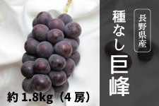 {C_ꂢ Ȃ 4[(1.8kg) 91ȍ~