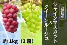 {C_ꂢ NC[[WEVC}XJbg 2l 1kg 925ȍ~