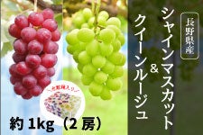 {C_ꂢ NC[[WEVC}XJbg ϔ 2l 1kg 925ȍ~