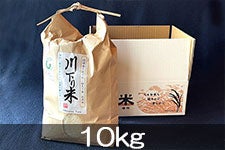 yVāzOt@[ 쉺 10kg(ߘa7NY)yʍ͔|āz101ȍ~