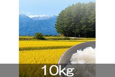 �O����t�@�[�� �Z���̐X(�R�V�q�J��) 10kg(�ߘa7�N�Y) 1��10���ȍ~����