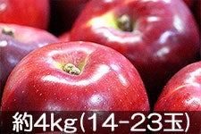 gʉ g 4kg(14-23)