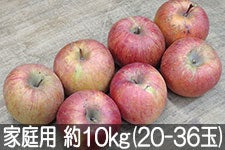gʉ Tӂ ƒp 10kg(20-36)
