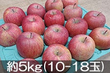 gʉ Tӂ 5kg(10-18)