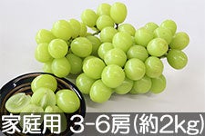gʉ VC}XJbg ƒp 3-6[(2kg) 98ȍ~