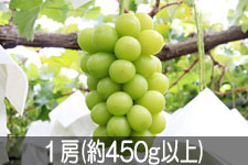 �g�ʉ� �V���C���}�X�J�b�g 1�[(��450g�ȏ�) 9��5���ȍ~����
