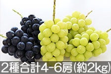 gʉ VC}XJbgEiKmp[v 2퍇v4-6[(2kg) 98ȍ~