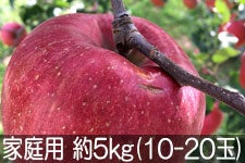{VΔ_ VimXC[g ƒp 5kg(10-20) 1019ȍ~