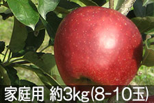 �{�V�Δ_�� �H�f �ƒ�p ��3kg(8-10��) 10��1���ȍ~����