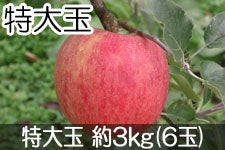 ۖ΃t@[ VimXC[g  3kg(6) 1012ȍ~yMB̊ɂ₳_YF؁EGRt@[}[zF_
