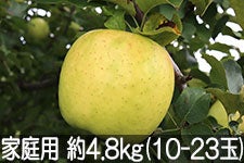 ۖ΃t@[ ܖ ƒp 4.8kg(10-23) 1115ȍ~yMB̊ɂ₳_YF؁EGRt@[}[zF_
