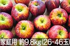 ۖ΃t@[ Hf ƒp 9.8kg(26-46) 105ȍ~yMB̊ɂ₳_YF؁zyGRt@[}[zF_