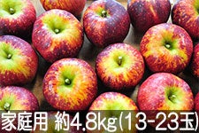 ۖ΃t@[ Hf ƒp 4.8kg(13-23)  105ȍ~yMB̊ɂ₳_YF؁zyGRt@[}[zF_