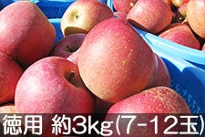 �ۖ΃t�@�[�� �T���ӂ� ���p ��3kg(7-12��) 2��1���ȍ~�����y�M�B�̊��ɂ₳�����_�Y���F�؁E�G�R�t�@�[�}�[�z�F��_��