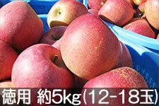 ☆３箱☆サンふじ専用出品☆ 丸茂ファーム サンふじ 徳用 約5kg(12-18玉)【信州の環境に