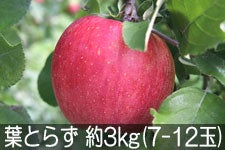 ۖ΃t@[ tƂ炸Tӂ 3kg(7-12) 1215ȍ~yMB̊ɂ₳_YF؁EGRt@[}[zF_