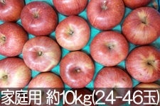 ۖ΃t@[ VimXC[g ƒp 10kg(24-46) 1012ȍ~yMB̊ɂ₳_YF؁zyGRt@[}[zF_