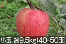 ۖ΃t@[ VimXC[g  9.5kg(40-50)yMB̊ɂ₳_YF؁zyGRt@[}[zF_