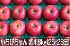丸茂ファーム サンふじ 小ちびちゃん 約4.8kg(25-28玉) 2月1日以降発送【信州の環境にやさしい農産物認証・エコファーマー】認定農園