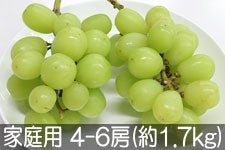 ۖ΃t@[ ①VC}XJbg ƒp 4-6[(1.7kg) 1220ȍ~