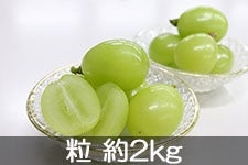 ۖ΃t@[ ①VC}XJbg  2kg 1220ȍ~