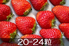 x[ir[ 20-24