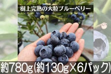 x[i 嗱nu[x[ p 780g(130g×6pbN) 75ȍ~