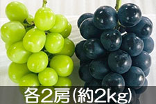������ �i�K�m�p�[�v�����V���C���}�X�J�b�g ��2kg(4-5�[)