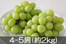  VC}XJbg 4-5[(2kg) 910ȍ~