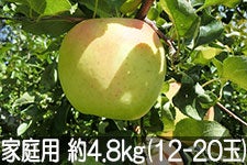  ܖ ƒp 4.8kg(12-20) 1110ȍ~