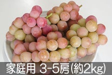  NC[j[i ƒp 3-5[(2kg) 910ȍ~