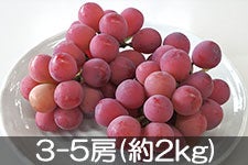  NC[j[i 3-5[(2kg) 910ȍ~