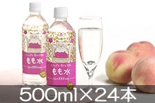 S[hpbN kAvX炩VR  500ml×24{