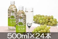 S[hpbN kAvX炩VR Ԃǂ 500ml×24{