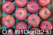 アグリンフレッシュ サンふじ 〇秀 約10kg(32玉) 11月13日以降発送